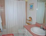 155 Mockingbird Lane Guest Bathroom