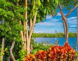 Sea Oats Condos Views