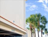 Sandpiper Key Covered Parking