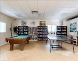 Ping Pong/Pool Table