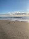 Beach1