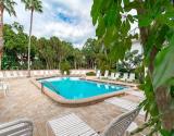 Tiki Pool