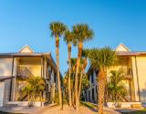 Bay side buildings
