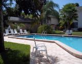 Tiki Condos Pool Area